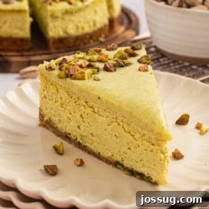 Pistachio Cheesecake with White Chocolate-Pistachio Ganache 13 Square photo of a Pistachio Cheesecake slice topped with chopped pistachios