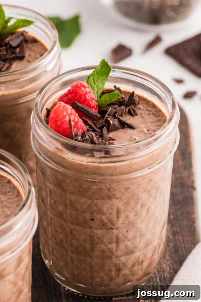 Creamy Chocolate Chia Pudding Recipe 2 Creamy chocolate chia pudding jars topped with raspberries, chopped dark chocolate, and fresh mint