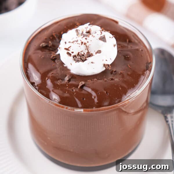 Creamy Chocolate Chia Pudding Recipe 13 glass of chocolate pudding topped with whipped topping and chocolate shavings on a white plate