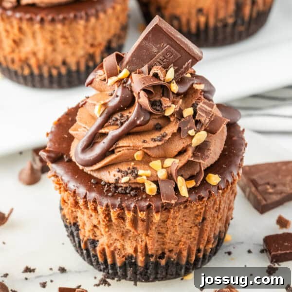 Creamy Chocolate Chia Pudding Recipe 15 Decorated mini chocolate cheesecake with chocolate bar piece, curls, and ganache drizzle