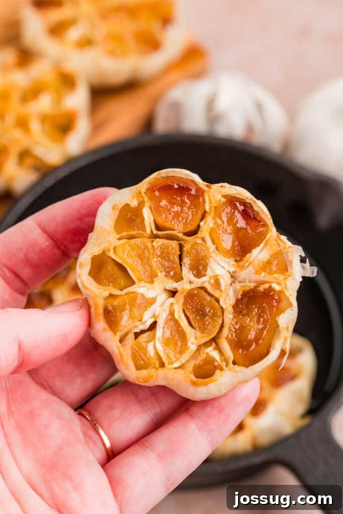 Whole bulb of roasted garlic held up to show the golden caramelized cloves